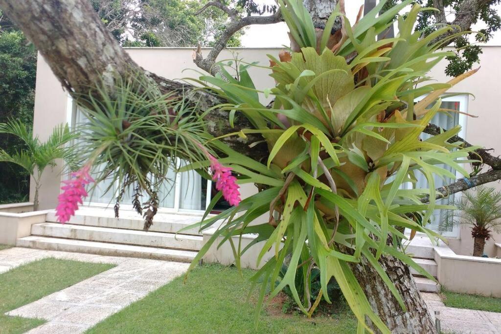 Buzios Requinte & Sofisticacao Villa Екстериор снимка